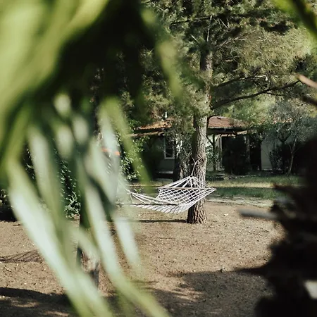 Hotel Eski Yeni Olympos