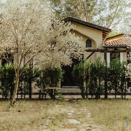 Eski Yeni Hotel Olympos