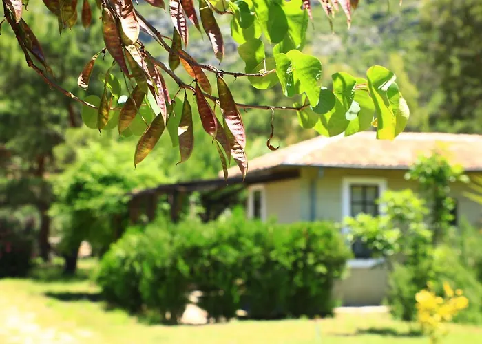 Eski Yeni Hotel Olympos