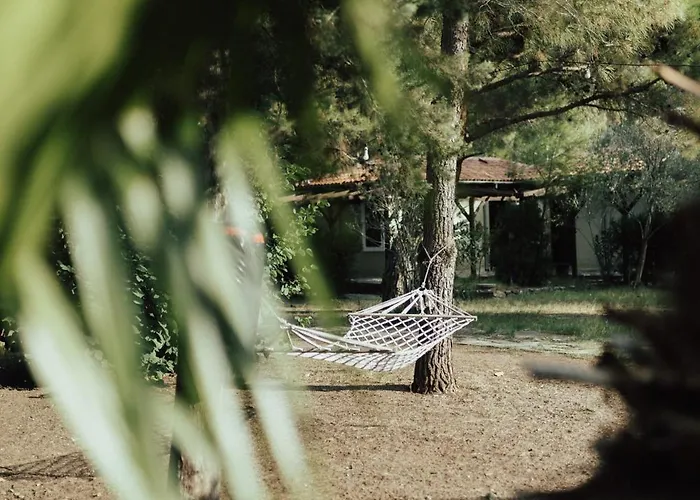 Hotel Eski Yeni Olympos