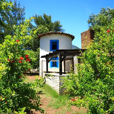 Eski Yeni