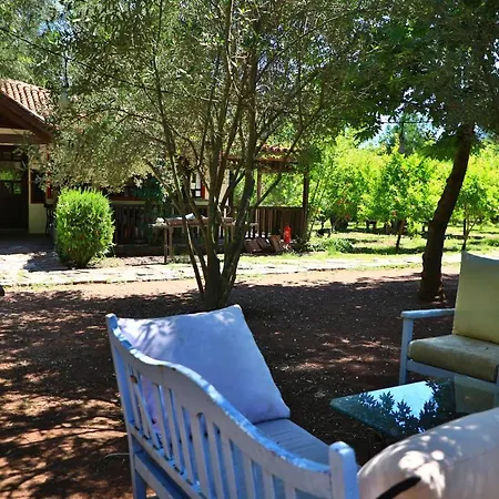 Eski Yeni Hotell Olympos