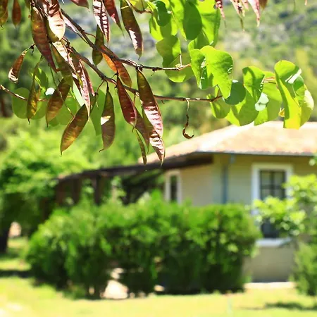 Eski Yeni Hotel Olympos