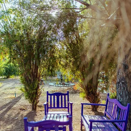 Hotel Eski Yeni