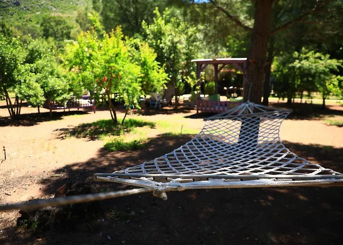 Eski Yeni Olympos